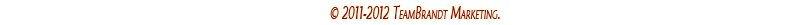 2010 Copyright TeamBrandt Marketing